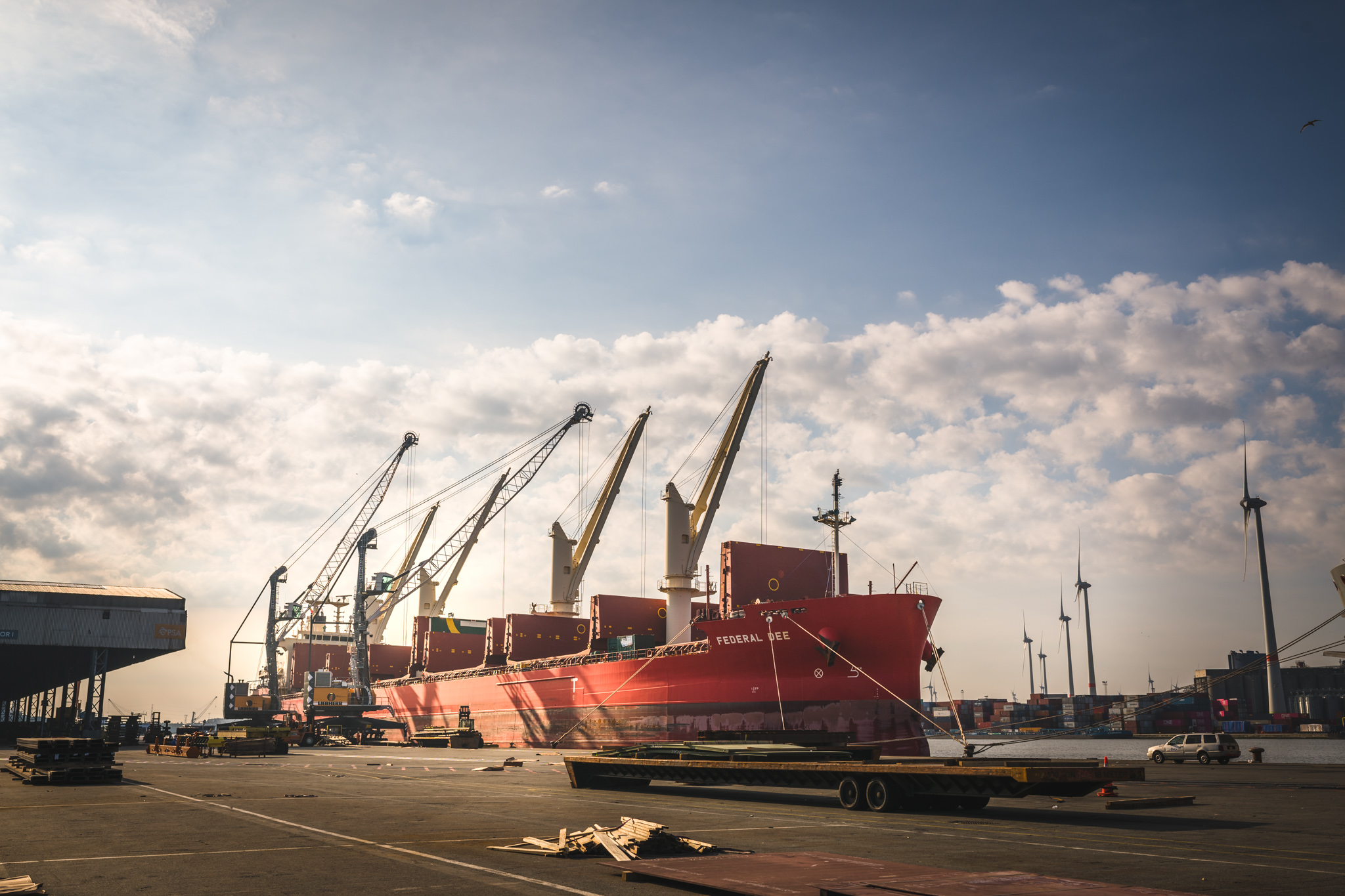 Breakbulk vessel and cranes at PSA Antwerp